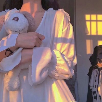 大追踪?警视厅SSBC强行犯系?